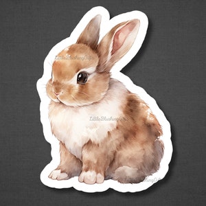 May include: A watercolour illustration of a brown and white bunny rabbit with long ears. The bunny is sitting on its hind legs with its front paws tucked in. The background is a light grey.