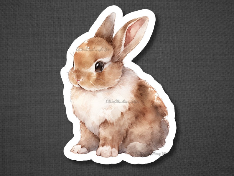 May include: A watercolour illustration of a brown and white bunny rabbit with long ears. The bunny is sitting on its hind legs with its front paws tucked in. The background is a light grey.