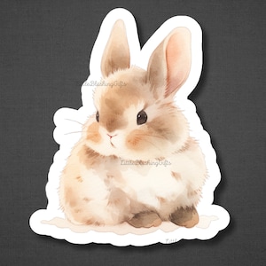 May include: A watercolour illustration of a brown and white bunny rabbit sitting on a white background. The bunny has large ears and a fluffy tail.