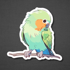 K&ouml;nnte beinhalten: Ein gr&uuml;ner und blauer Liebesvogel, der auf einem Ast sitzt. Der Vogel hat einen hellgr&uuml;nen K&ouml;rper mit einem blauen Schwanz und einem leuchtend orangefarbenen Schnabel.