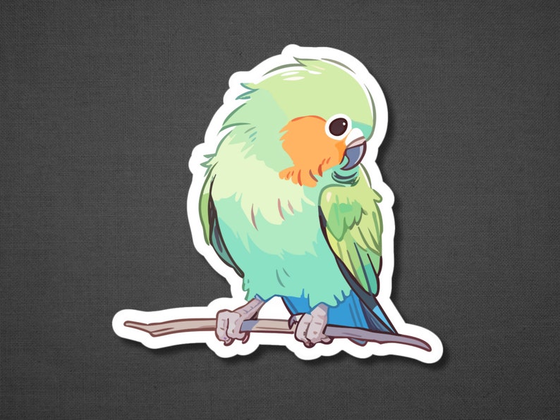 K&ouml;nnte beinhalten: Ein gr&uuml;ner und blauer Liebesvogel, der auf einem Ast sitzt. Der Vogel hat einen hellgr&uuml;nen K&ouml;rper mit einem blauen Schwanz und einem leuchtend orangefarbenen Schnabel.