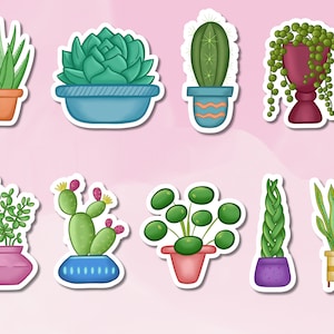 Adesivo succulente e cactus, adesivo vegetale, set di adesivi succulente per la casa, adesivo Aloe Vera, forniture BuJo