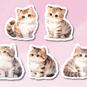 Baby Kätzchen Aufkleber, Chonky Baby Katzen Aufkleber Set, süße Kitty Aufkleber, Aufkleber für dein Journal, BuJo Zubehör, Kinderaufkleber