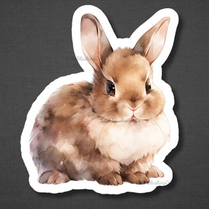 May include: A watercolour illustration of a brown rabbit with white fur on its chest and belly. The rabbit is sitting with its ears perked up and looking directly at the viewer.