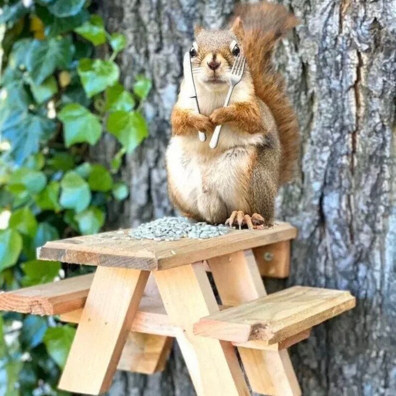 squirrel picnic table feeder squirrel picnic table feeder