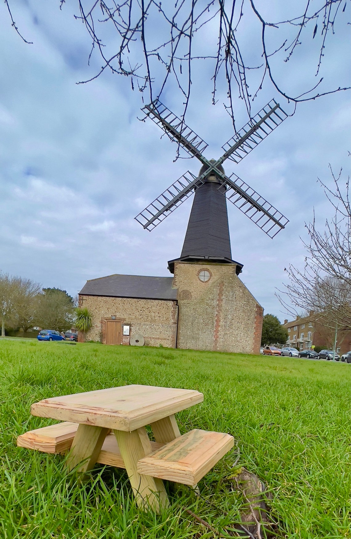Mesa de pájaros Cumpleaños de febrero Ardilla mesa de picnic | Etsy