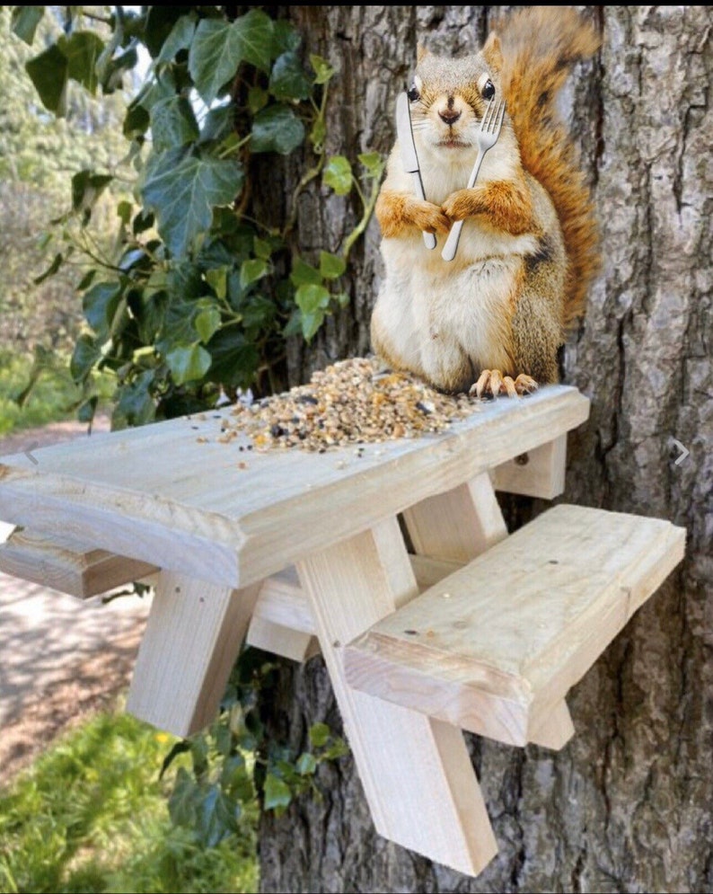 Squirrel picnic table mini bird feeder wooden mountable bench Etsy