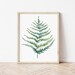 Fern Watercolor Painting | Plant Art |  11x14 8x10 5x7