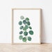 Pilea Peperomioides Watercolor Painting | Plant Art | 11x14 8x10 5x7