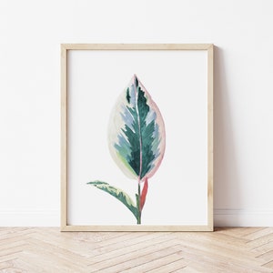 May include: A framed watercolor painting of a single pink and green leaf with a white background.