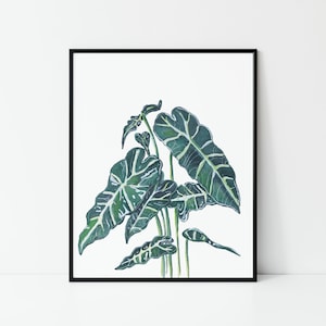 Alocasia Plant Watercolor Painting | Plant Art | 11x14 8x10 5x7