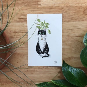 以下が含まれることがあります： 首に金のチャームをつけた白黒の猫が、緑の植物を帽子のようにかぶっています。猫は直接見ています。
