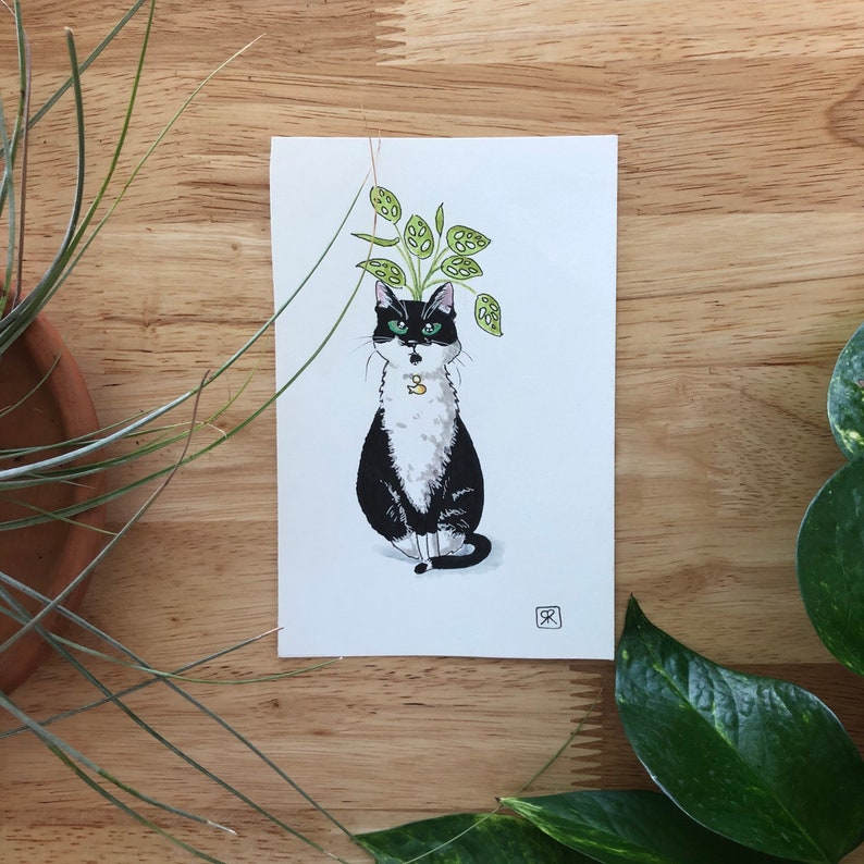 以下が含まれることがあります： 首に金のチャームをつけた白黒の猫が、緑の植物を帽子のようにかぶっています。猫は直接見ています。