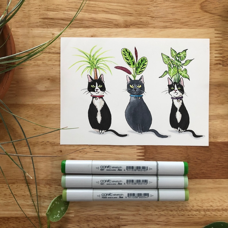 以下が含まれることがあります： 首輪をした黒と白の猫3匹の手描きイラスト。それぞれの猫の頭の上には、異なる種類の観葉植物が生えています。植物は、緑と黄色のドラセナ、赤と緑の祈りの植物、緑のポトスです。