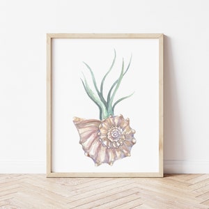 Airplant  Shell  Watercolor Painting Print l Shell Wall Art | 11x14 8x10 5x7