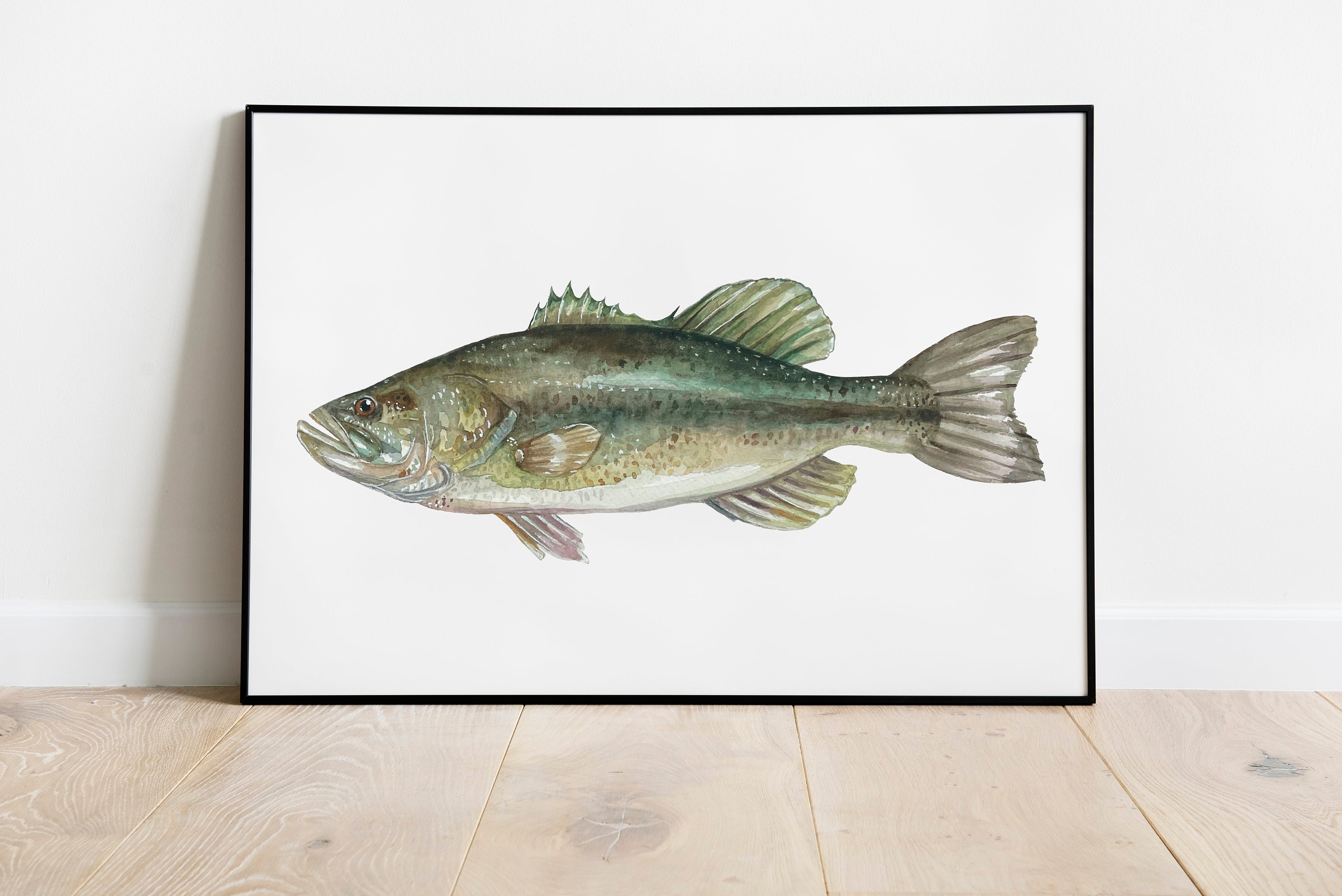 Largemouth Bass Fish Watercolor Painting Print Fish Wall Art 11x14