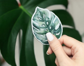 Monstera Leaf Watercolor Matte Vinyl Sticker |  2 x 3 Waterproof Plant Art Die Cut Sticker