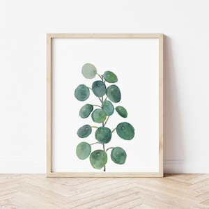 May include: A framed watercolor painting of a green leafy plant with round leaves. The plant is depicted in a minimalist style against a white background.