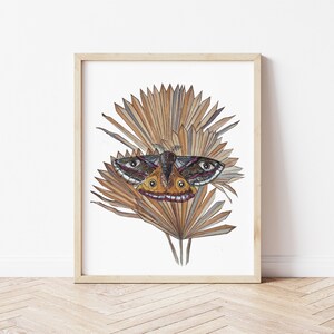 Dried Terracotta Sun Palms and Moth Watercolor Print | Insect Illustration | Nature Lover Gift | Dried Florals And Moth Art Print