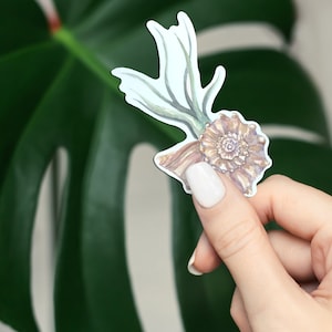 May include: A sticker featuring a hand-painted illustration of a seashell with a plant growing out of it. The seashell is brown and white, and the plant is green. The sticker is on a white background.