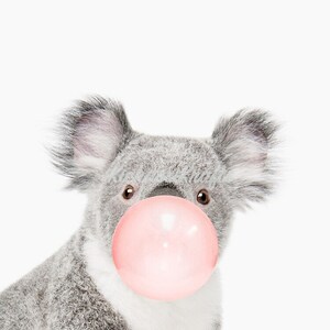May include: A gray koala with a pink bubble of gum in its mouth. The koala is looking directly at the camera.