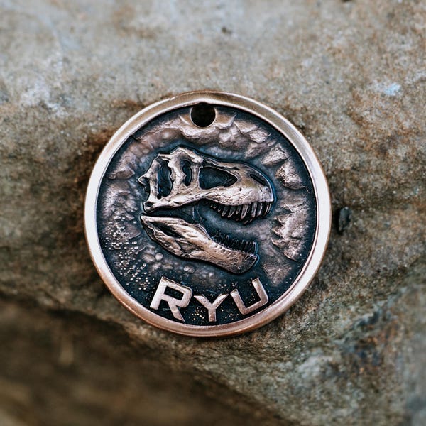 Hondenpenning T-Rex | Gegraveerd | Koper | Gepersonaliseerd | Id-tag huisdierkat | Jurassic Park | Dinosaurus