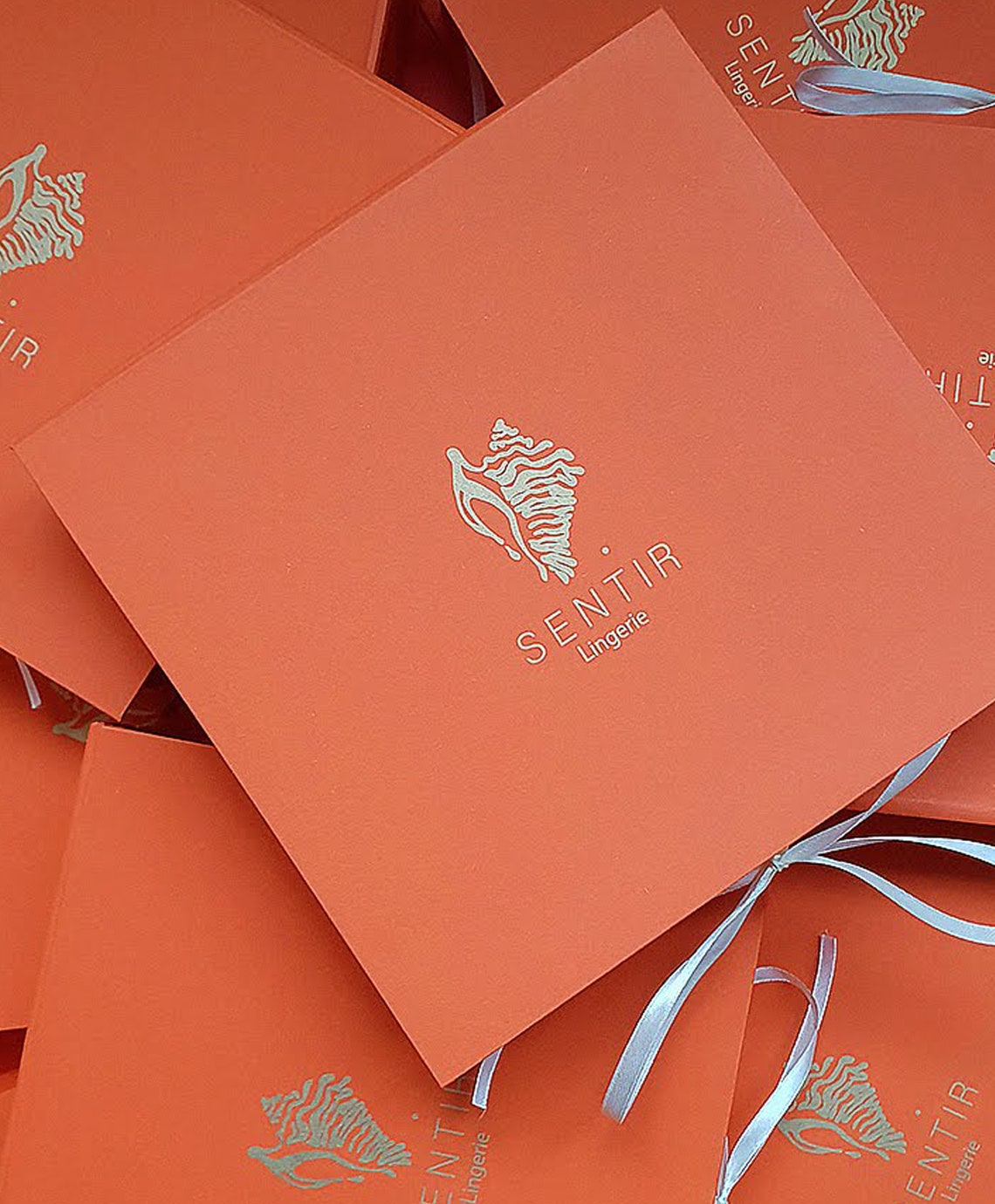 Playful Lace Brassiere, Cups Bra, Flirty Lingerie, Soft Cups