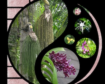 12x12 Scrapbook Template: Azza Style SVG Cut File (Digital Download)