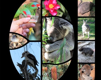 12x12 Scrapbook Template: Azza Style Photo Layout (Digital File)