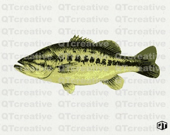 LARGEMOUTH BASS- svg, eps, png, jpeg. Instant Download! 1 graphic - 4 files total