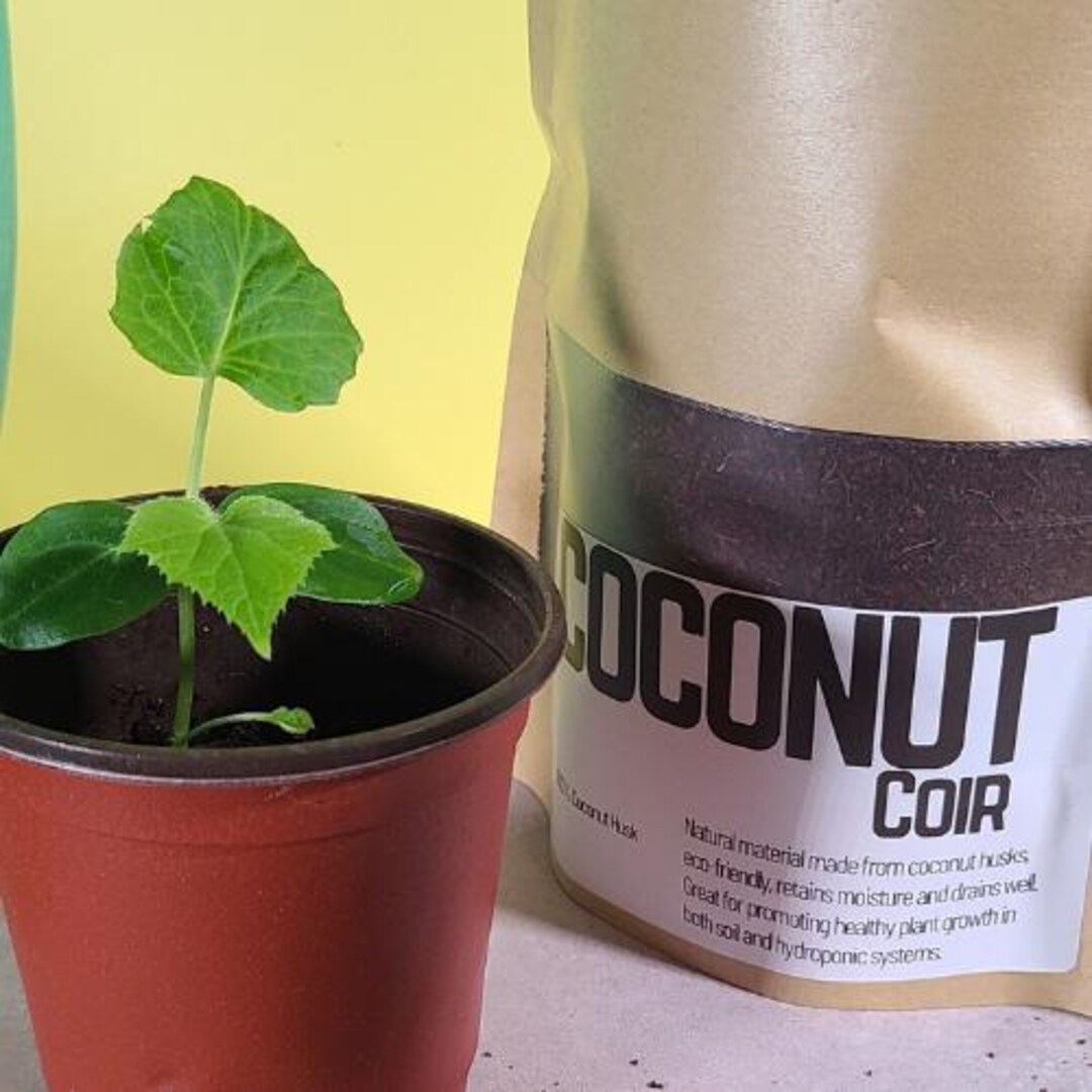 Coconut Coir for Planting Organic Eco Friendly Soil Amendment for ...