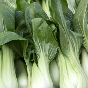 May include: A bunch of fresh green bok choy with light green stems and dark green leaves.