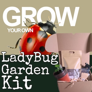 Grow Your Own Ladybug Garden Kit | Eco-Friendly Natural Pest Control | Perfect for Small Spaces & Home Gardens | Perfect Mother&#39;s Day Gift