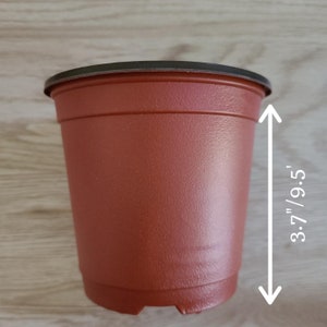 Paint Pot Strips, 3ML, 6 Pot Strips, Empty Paint Pots, Bulk 3ML