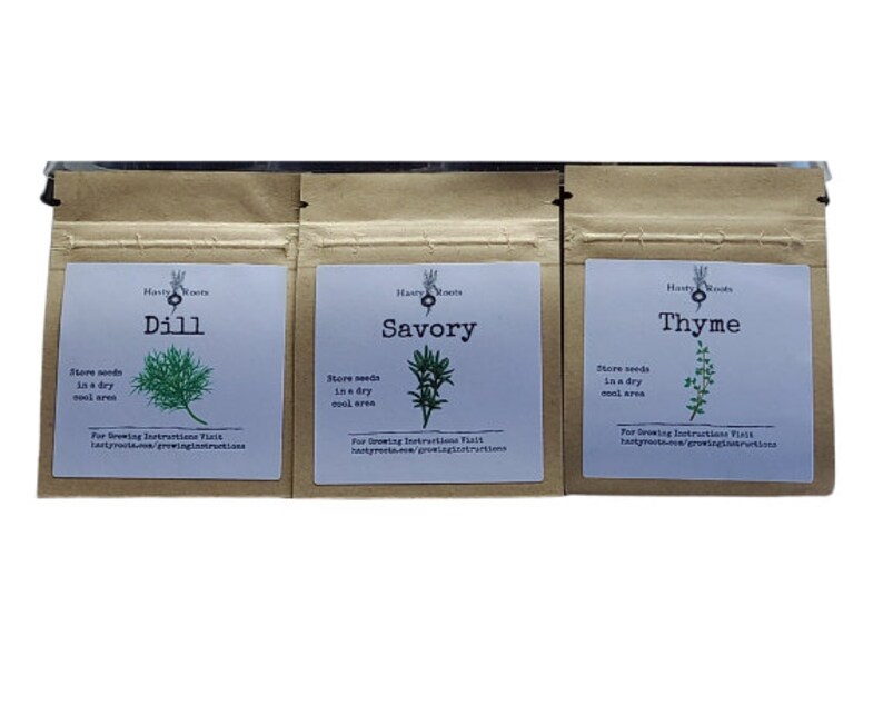 Kitchen Herb Seed starter kit Indoor Gardening Kit Etsy