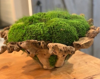 Branchy Bowl With Preserved Moss