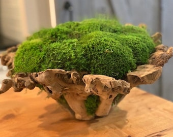 Branchy Bowl With Preserved Moss