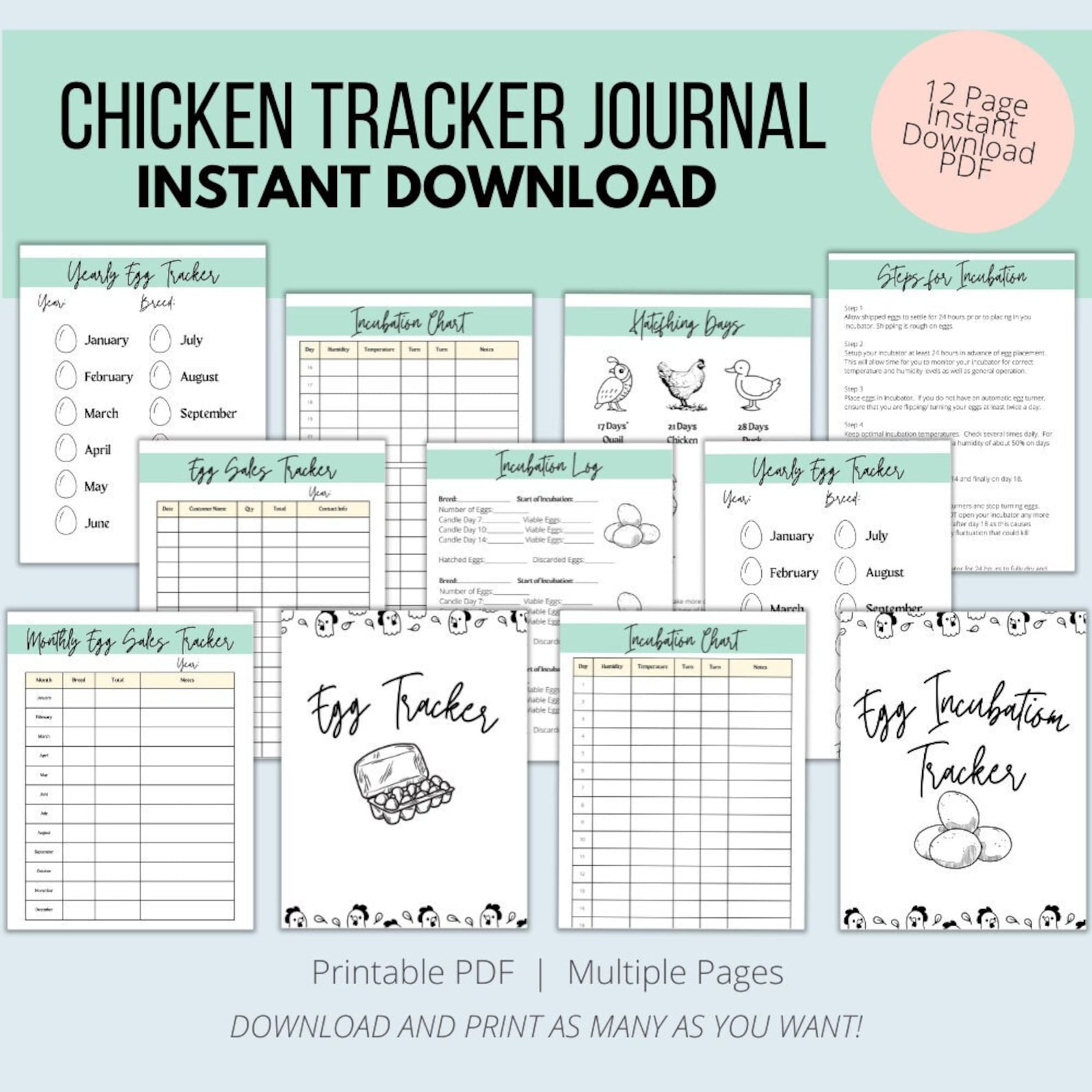 Egg Tracker Printable, Egg Sales Tracker, Egg Production Tracker, Poultry Record, Homestead