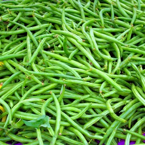 May include: A close-up image of a large pile of fresh green string beans. The beans are arranged in a random pattern, with some beans overlapping others.