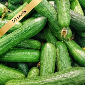 Marketmore Cucumber Seeds: 50 Organic Heirloom Seeds.