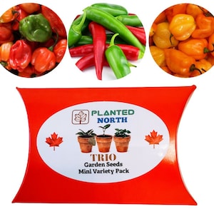Hot Pepper Seeds Mini Variety Pack - Caribbean Red Hot, Serrano Jalapeno & Habanero Seeds- Non GMO (150 Seeds) SHU 23,000-400,000