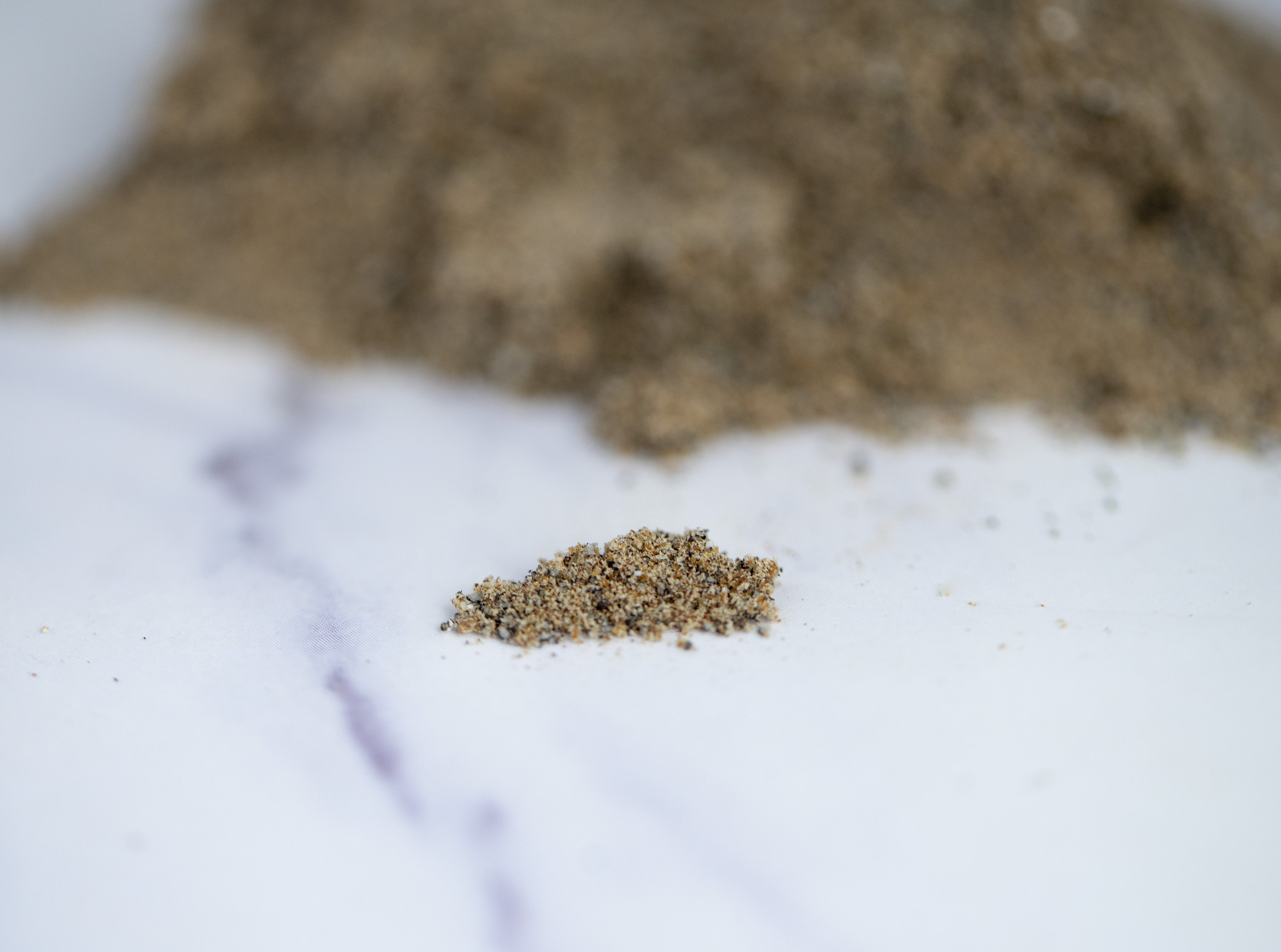 Organic Cardamom Seeds Whole Cardamom Seed Powder for Baking Etsy