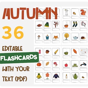 Autumn Fall Editable Vocabulary Flashcards, Digital Download, virtual, pdf!