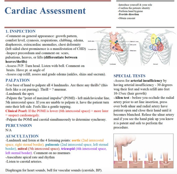 Cardiac Assessment Cheat Sheet Etsy