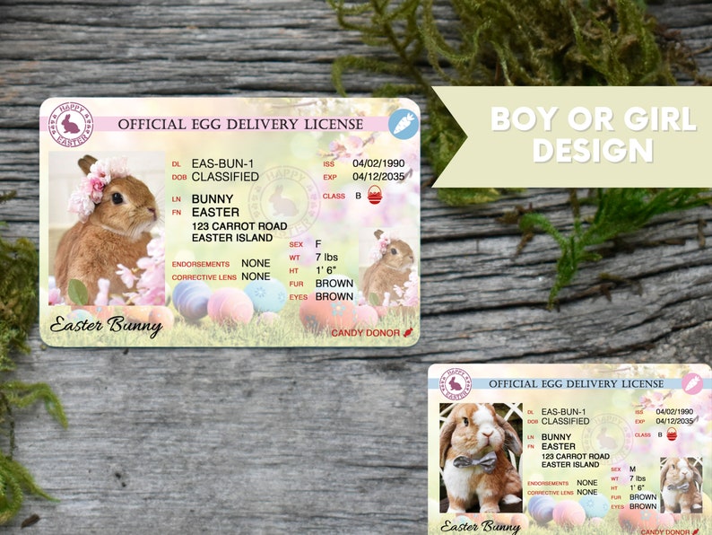 Easter Bunny Driver's License Official Egg Delivery Etsy