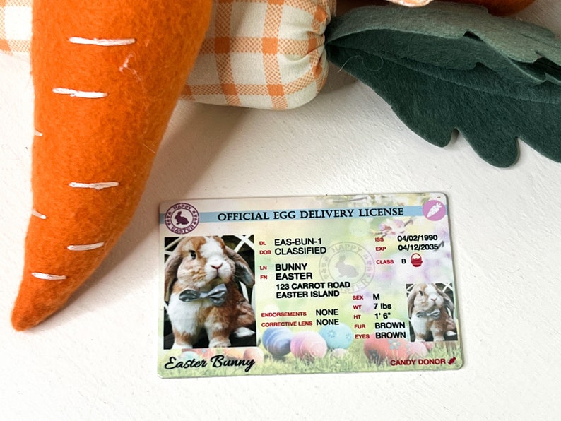 Easter Bunny Driver's License Official Egg Delivery Etsy