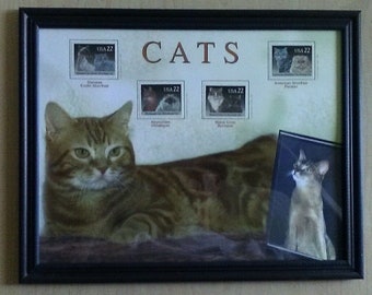 CAT LOVERS ATTENTION! 11&quot; X 13 1/2 &quot; Wood/Glass Frame with 4 Mint Cat Stamps