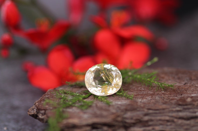 Loose Topaz November Birthstone 7.53 Carat Oval Cut Topaz Rutile Topaz Gemstone Natural Gold Clear Topaz Custom Topaz