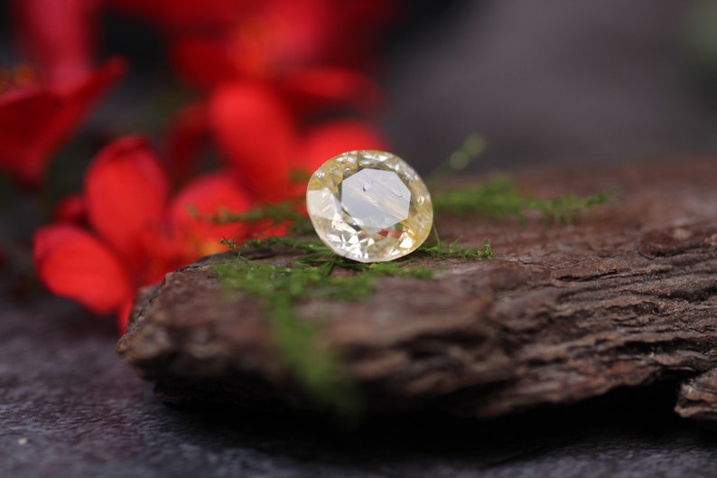 Loose Topaz November Birthstone 7.53 Carat Oval Cut Topaz Rutile Topaz Gemstone Natural Gold Clear Topaz Custom Topaz
