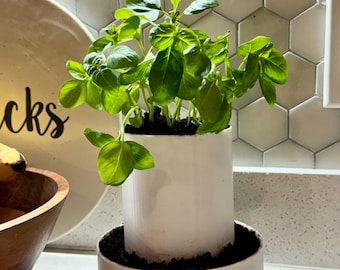 Minimalist 2-Tier Planter for Succulents, Herbs, Indoor Plants